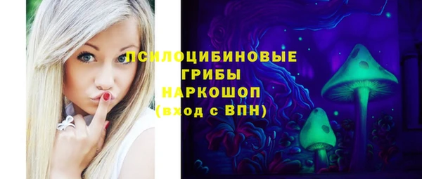 ПСИЛОЦИБИНОВЫЕ ГРИБЫ Алексин