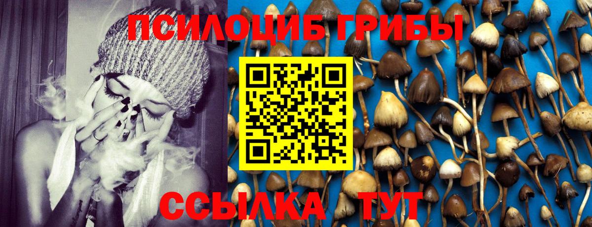 дарнет шоп  Псилоцибиновые грибы Magic Shrooms  Вход с VPN  Десногорск 